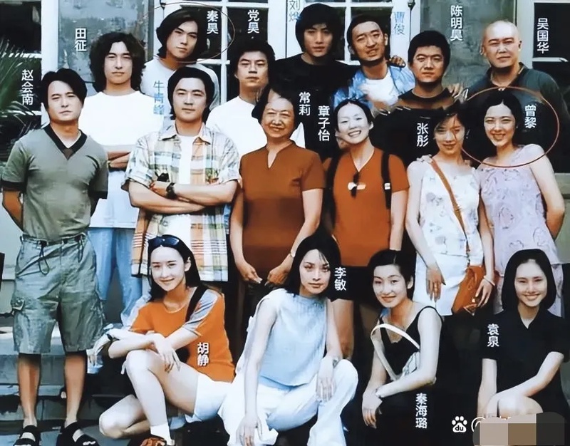 杨紫
